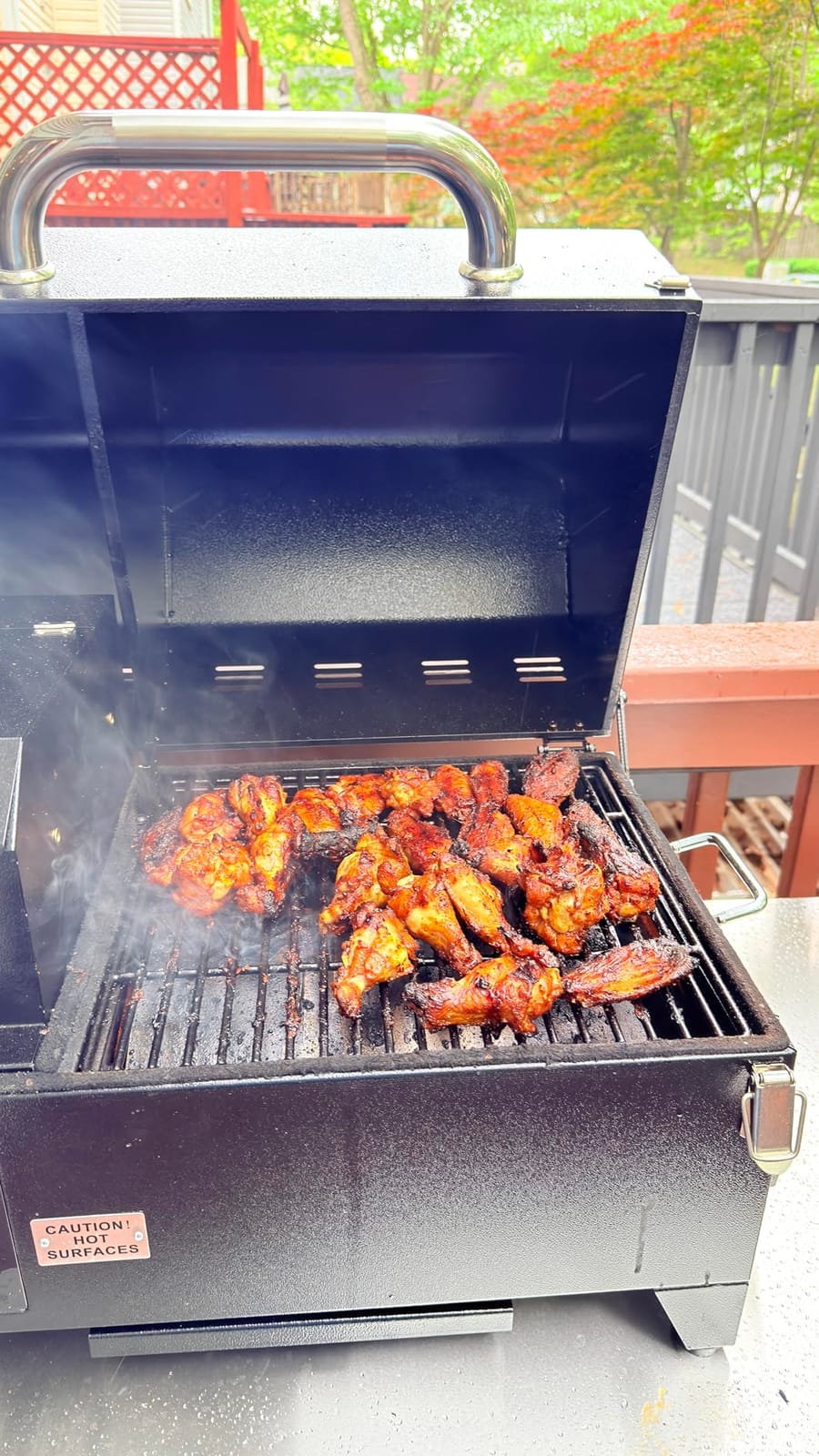 Freedom Stoves Portable Pellet Grill, 12V and 120V Dual Power customer photo 1