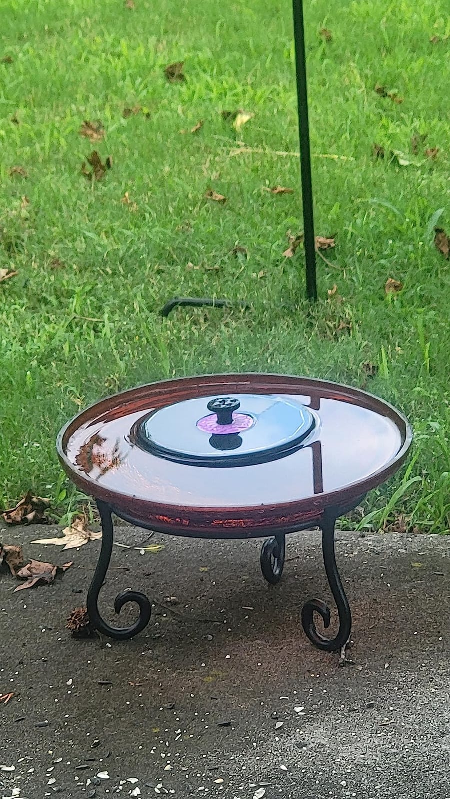 SZMP Solar Fountain 3.5W Bird Bath Fountains with Flower Upgraded Glass Panel, Solar Powered Water Fountain with 7 Nozzle & 4 Fixer, Solar Fountain Pump for Bird Bath, Garden, Pond, Pool (Blue) customer photo 1