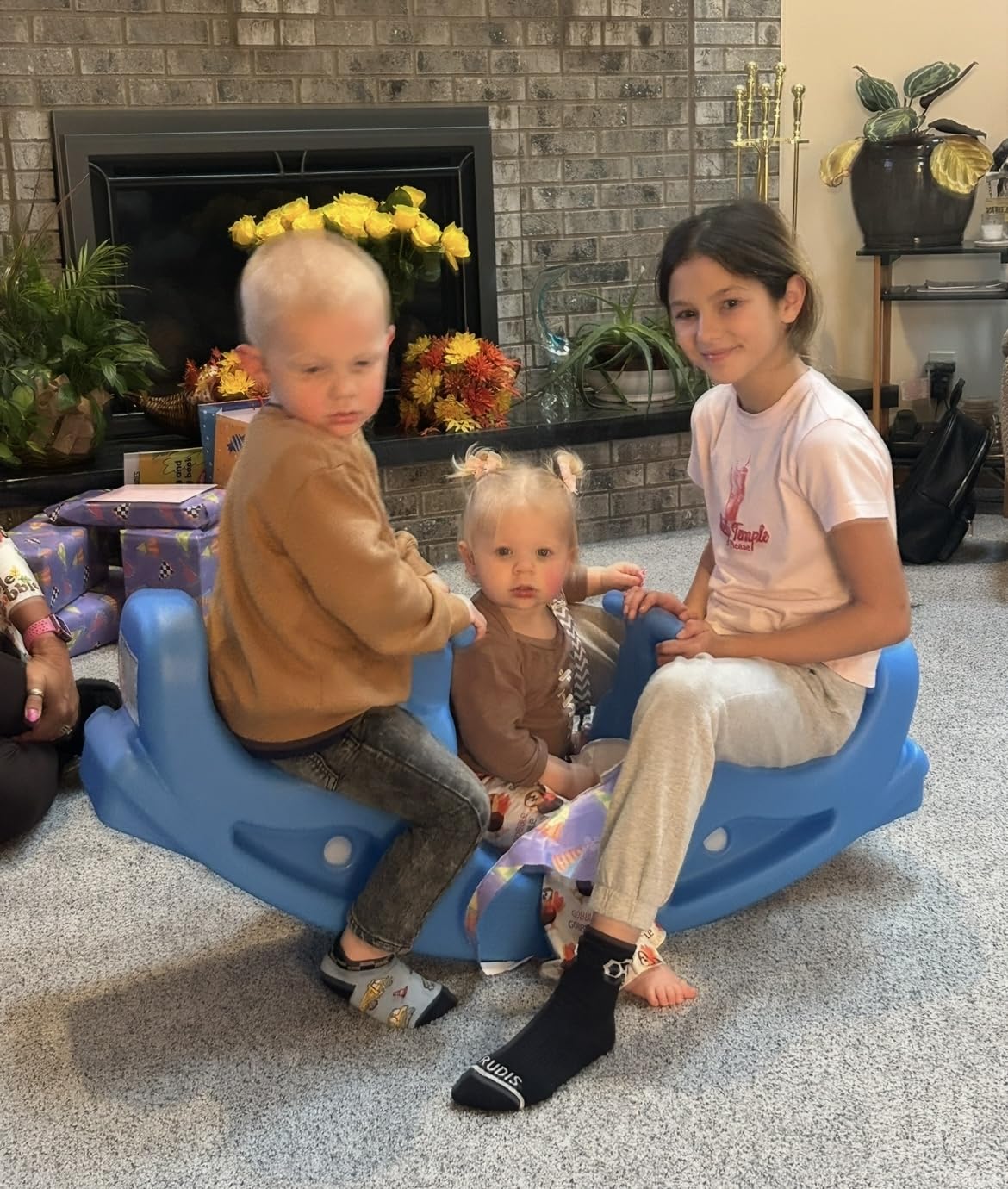 Simplay3 Up and Down Teeter Totter Seesaw - Rocking Fun for Two Toddlers or Kids Ages 18 Months to 5 Yrs- Sapphire, Made in USA customer photo 2