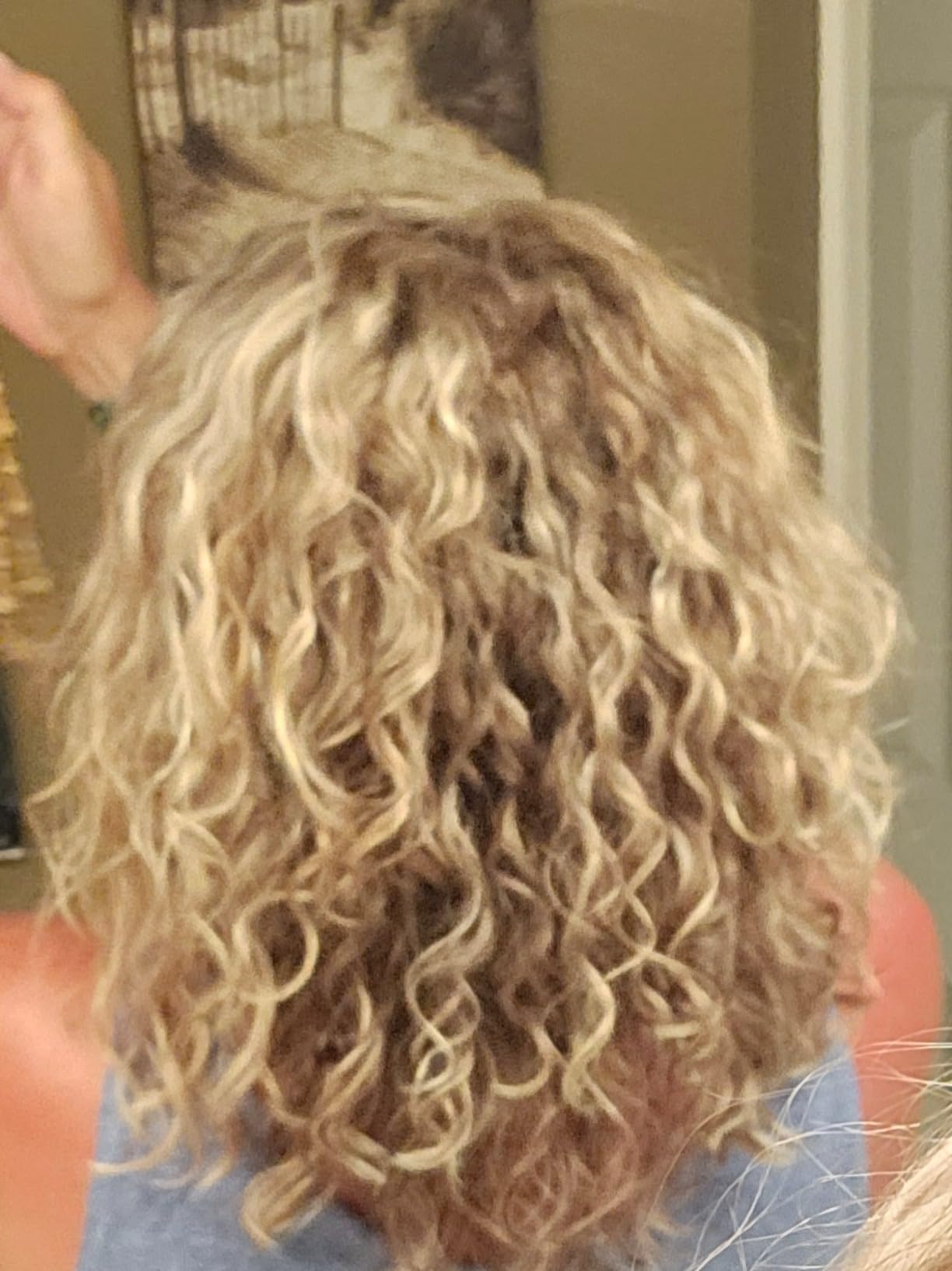 Wavytalk Turblow Pro Fast Drying Hair Dryer with Diffuser customer photo 1