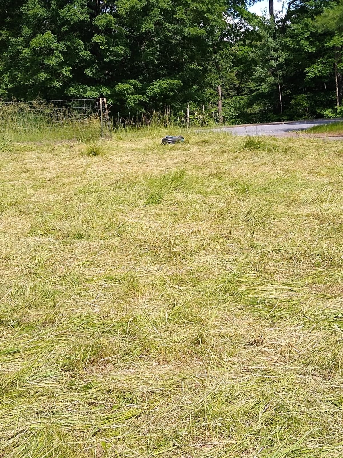 GARDENA SILENO Flex Robotic Lawn Mower, Cuts 1-4 in., 2025 in. - 15301 customer photo 2