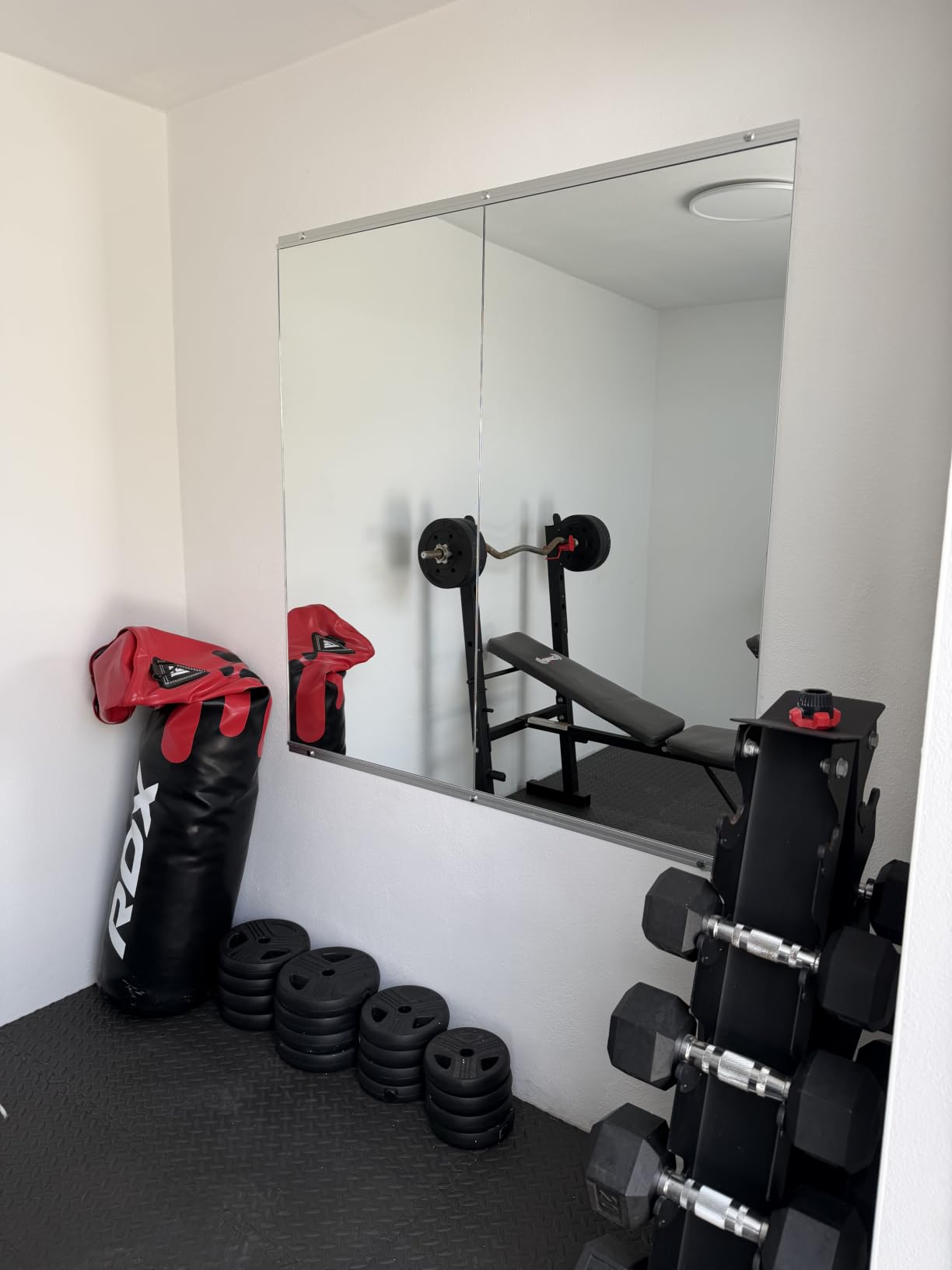 LOAAO Home Gym Mirror 56