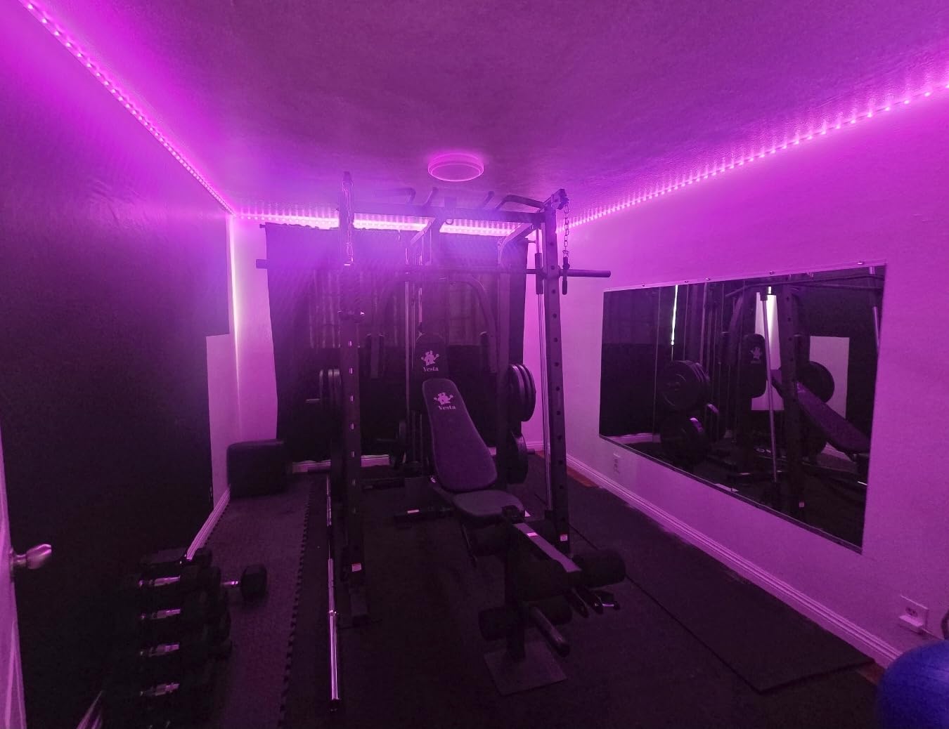LOAAO Home Gym Mirror 56