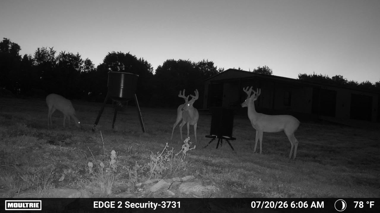 PROLEE 85lbs Deer Feeder, Weatherproof Deer Feeders with 4 Feeding Tray and 4-Leg Stand, Heavy Duty Metal Gravity Feeder for Deers and Wildlife (Black) customer photo 2