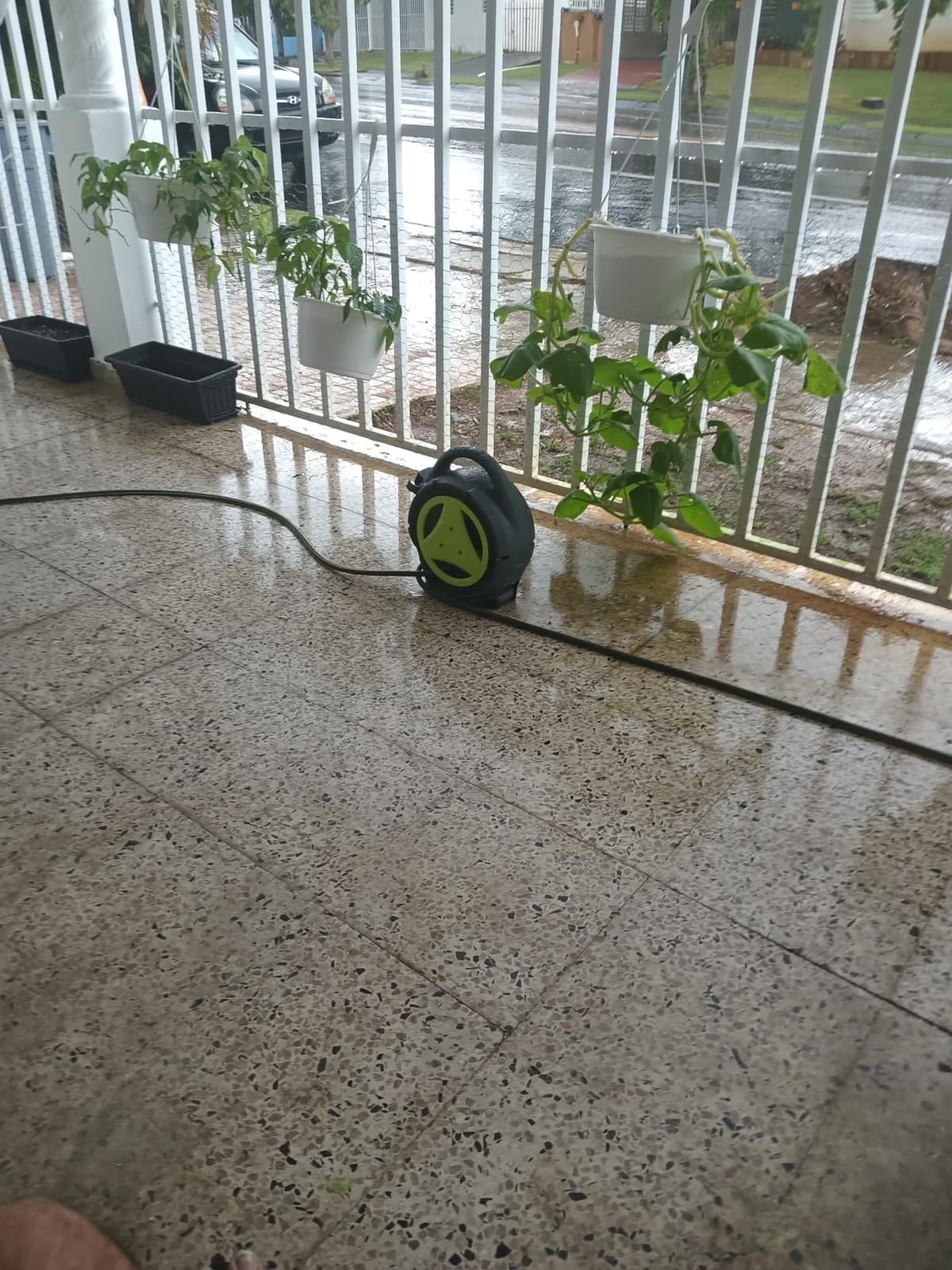 YASHINE 50ft Retractable Garden Hose Reel, Portable Hose Reel, 45+5FT with 10 Patterns Spray Nozzle, Adapts to standard US hose plugs, Hose Reel for Garden Watering Car Washing Pet -Green customer photo 1