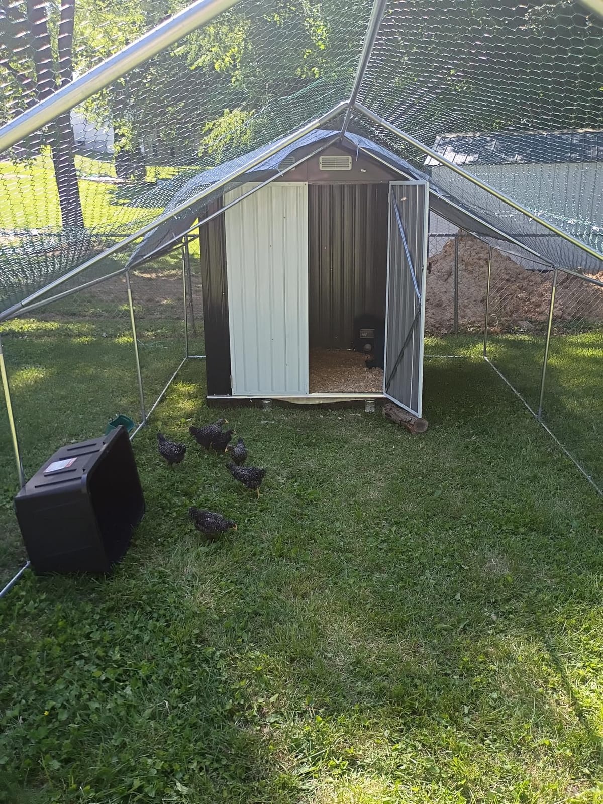 IRONCK 5.7x5.7FT Outdoor Storage Shed, Tool Shed, Dark Blue customer photo 2