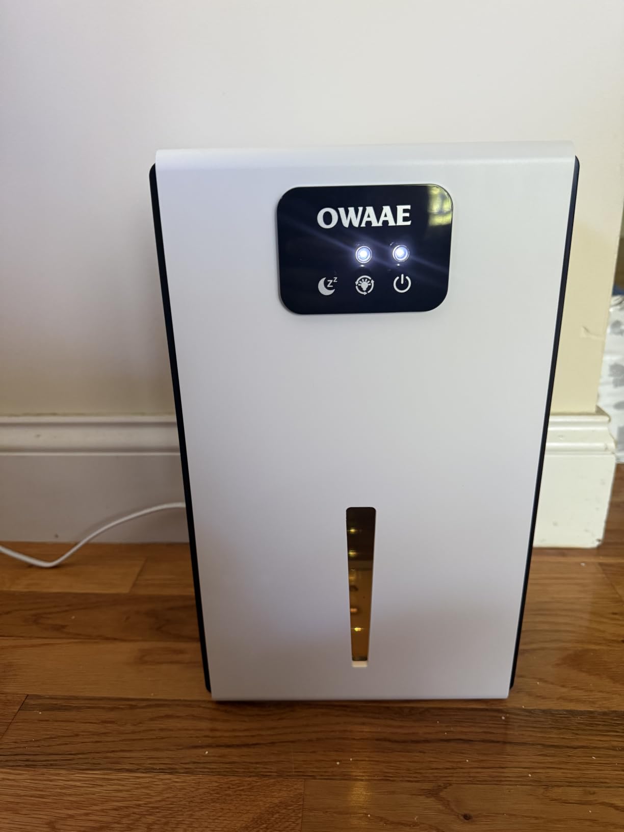 Dehumidifier for Home with Auto Shutoff Sleep Mode, 1000 Sq Ft customer photo 2