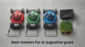 best mowers for st augustine grass