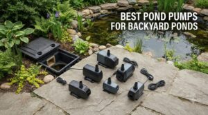 best pond pumps for backyard ponds